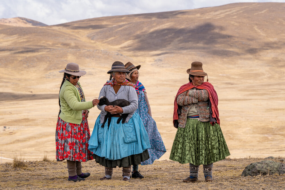 047_Wasim Muklashy Photography_Andes Mountains_Peru_Quechua Benefit_Picotani_Vicuna Chaccu.jpg