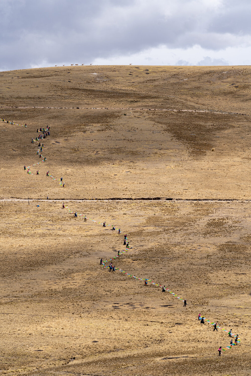 052_Wasim Muklashy Photography_Andes Mountains_Peru_Quechua Benefit_Picotani_Vicuna Chaccu.jpg