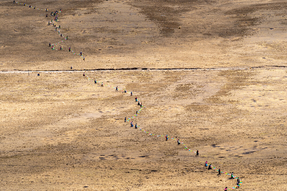 053_Wasim Muklashy Photography_Andes Mountains_Peru_Quechua Benefit_Picotani_Vicuna Chaccu.jpg