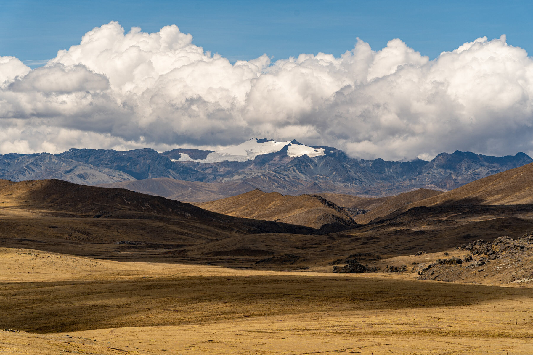 055_Wasim Muklashy Photography_Andes Mountains_Peru_Quechua Benefit_Picotani_Vicuna Chaccu.jpg
