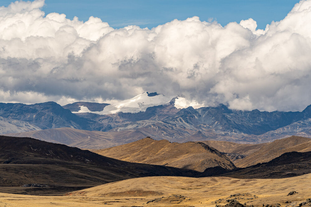 056_Wasim Muklashy Photography_Andes Mountains_Peru_Quechua Benefit_Picotani_Vicuna Chaccu.jpg