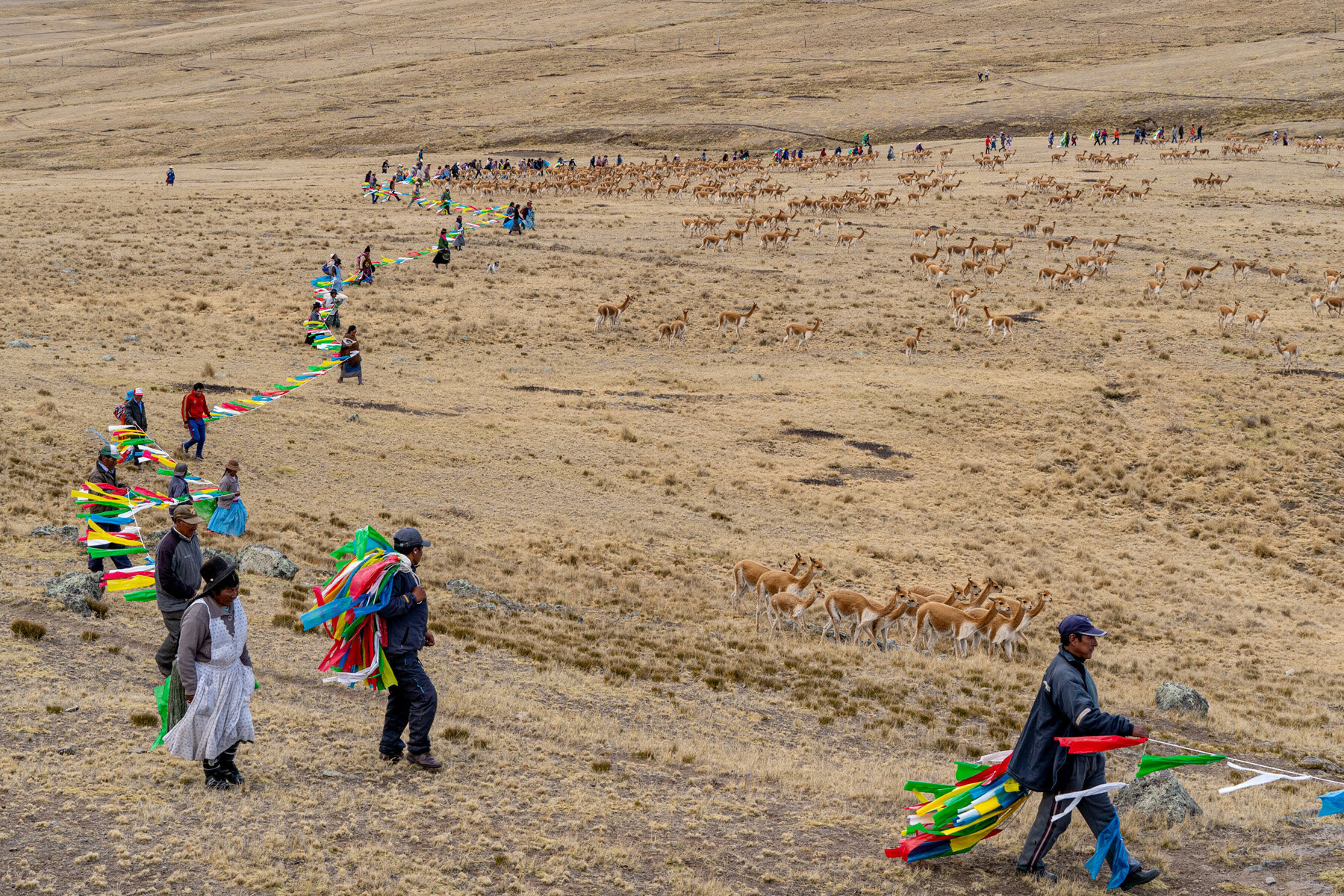 075_Wasim Muklashy Photography_Andes Mountains_Peru_Quechua Benefit_Picotani_Vicuna Chaccu.jpg