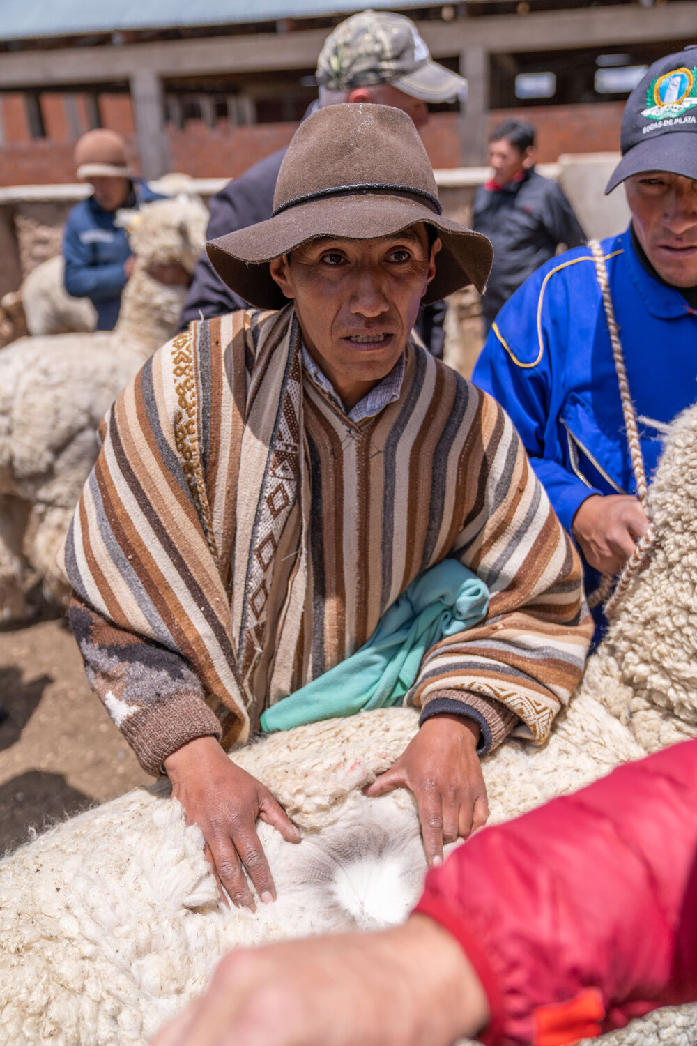 103_Wasim Muklashy Photography_Andes Mountains_Peru_Quechua Benefit_Picotani_Spar_Macusani_Alpaca.jpg