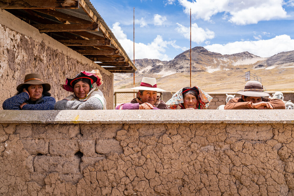 108_Wasim Muklashy Photography_Andes Mountains_Peru_Quechua Benefit_Picotani_Spar_Macusani_Alpaca.jpg