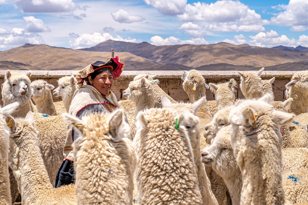 113_Wasim Muklashy Photography_Andes Mountains_Peru_Quechua Benefit_Picotani_Spar_Macusani_Alpaca.jpg