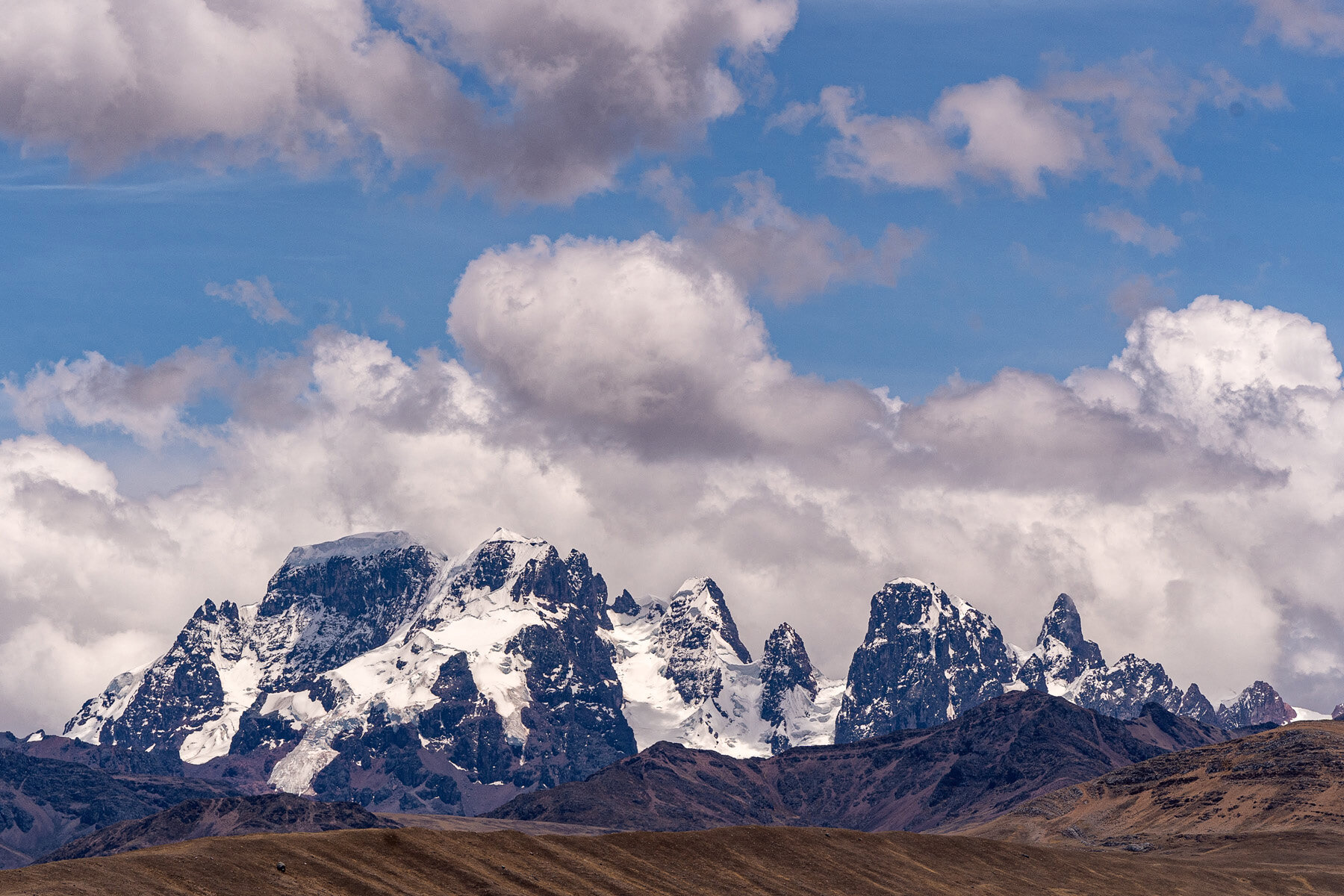 118_Wasim Muklashy Photography_Andes Mountains_Peru_Quechua Benefit_Picotani_Spar_Macusani_Alpaca.jpg