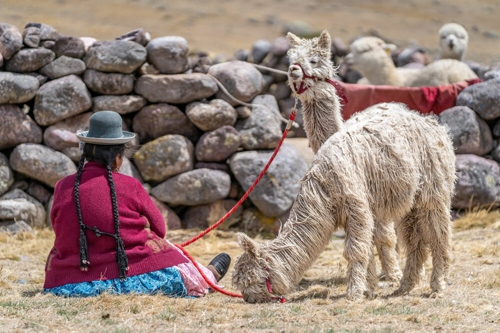 199_Wasim Muklashy Photography_Andes Mountains_Peru_Quechua Benefit_Picotani_Spar_Macusani_Alpaca.jpg