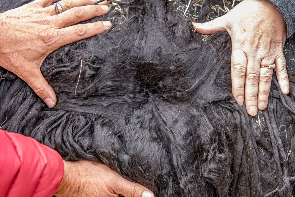 217_Wasim Muklashy Photography_Andes Mountains_Peru_Quechua Benefit_Picotani_Spar_Macusani_Alpaca.jpg