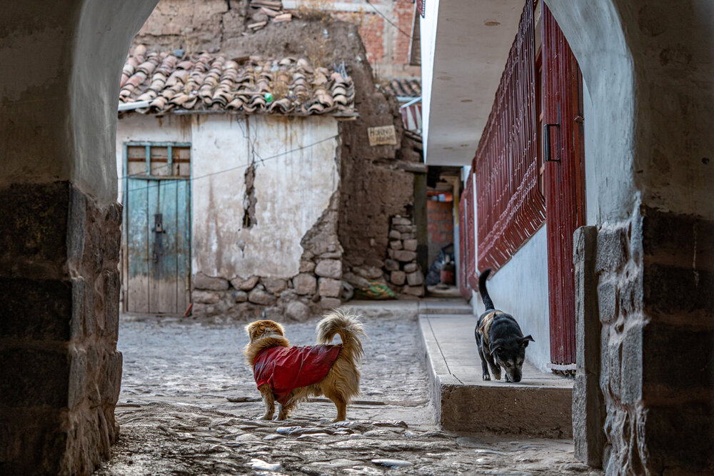 250_Wasim Muklashy Photography_Andes Mountains_Peru_Quechua Benefit_Cusco_Cuzco_Sacred Valley.jpg