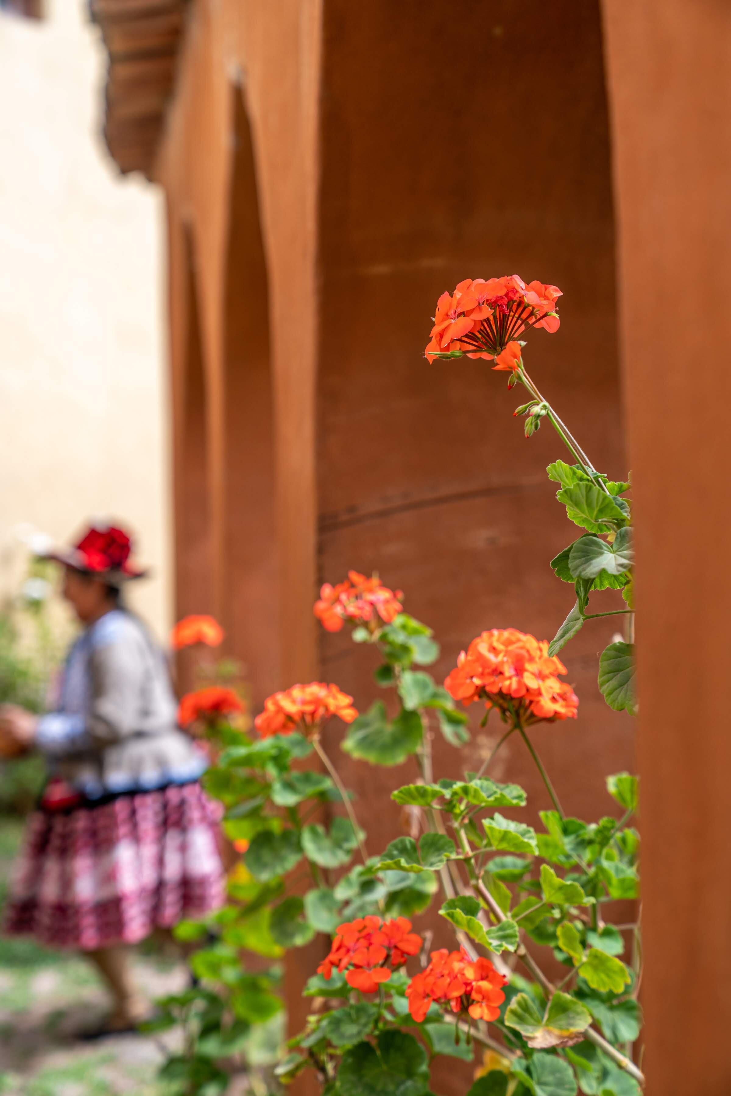 284_Wasim Muklashy Photography_Andes Mountains_Peru_Quechua Benefit_Cusco_Cuzco_Sacred Valley.jpg