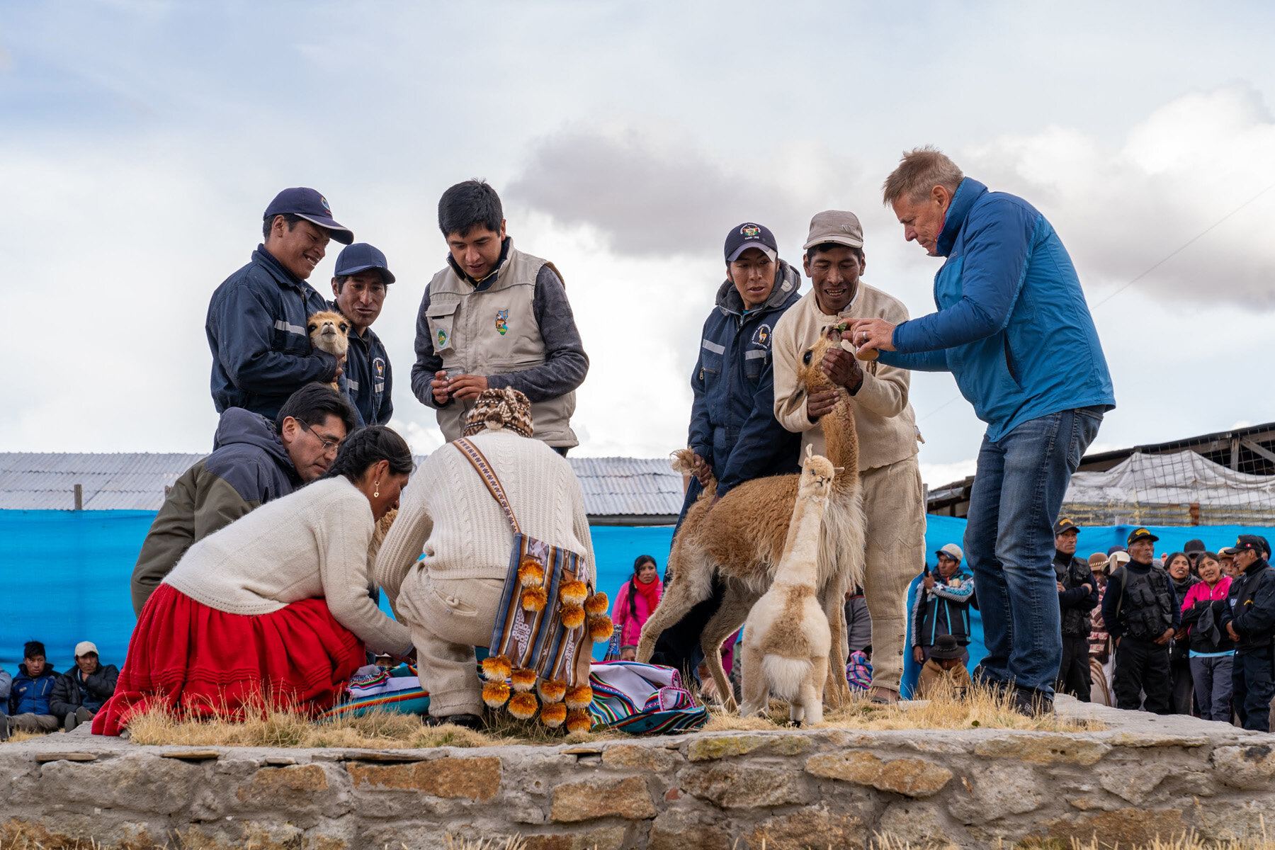 097_Wasim Muklashy Photography_Andes Mountains_Peru_Quechua Benefit_Picotani_Vicuna Chaccu.jpg