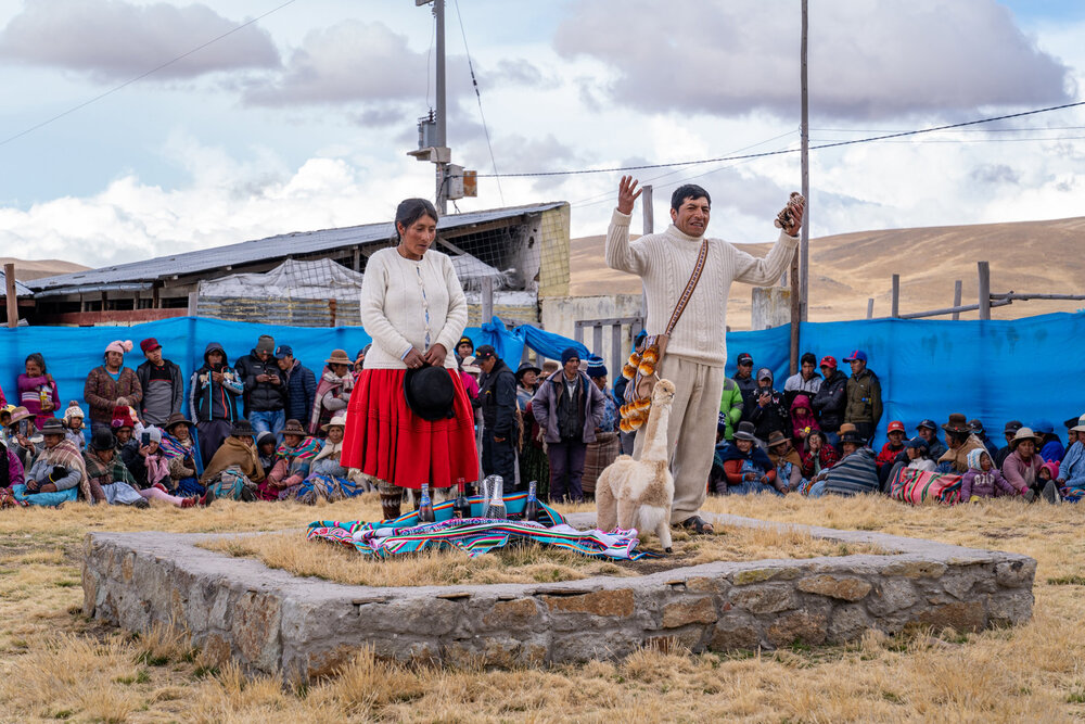 096_Wasim Muklashy Photography_Andes Mountains_Peru_Quechua Benefit_Picotani_Vicuna Chaccu.jpg