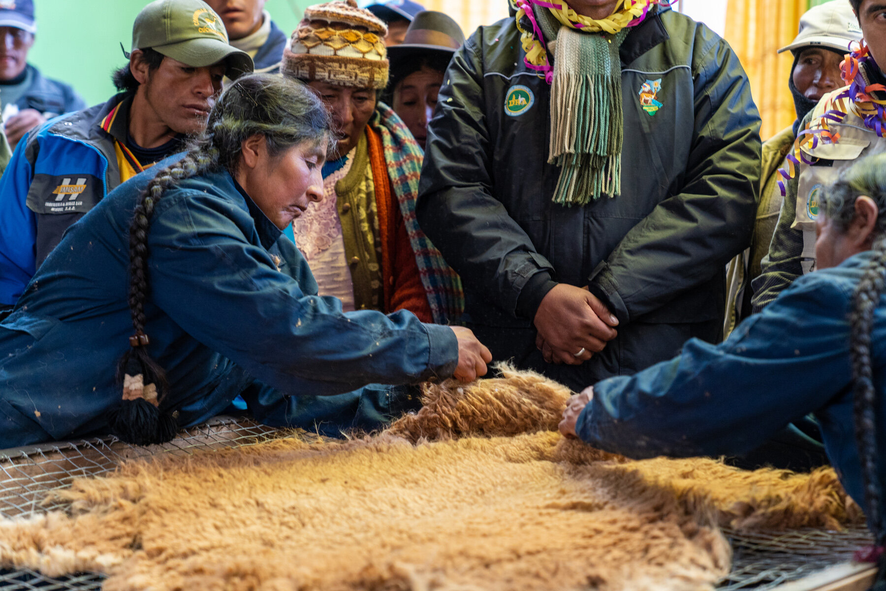 121_Wasim Muklashy Photography_Andes Mountains_Peru_Quechua Benefit_Picotani_Vicuna Chaccu_.jpg