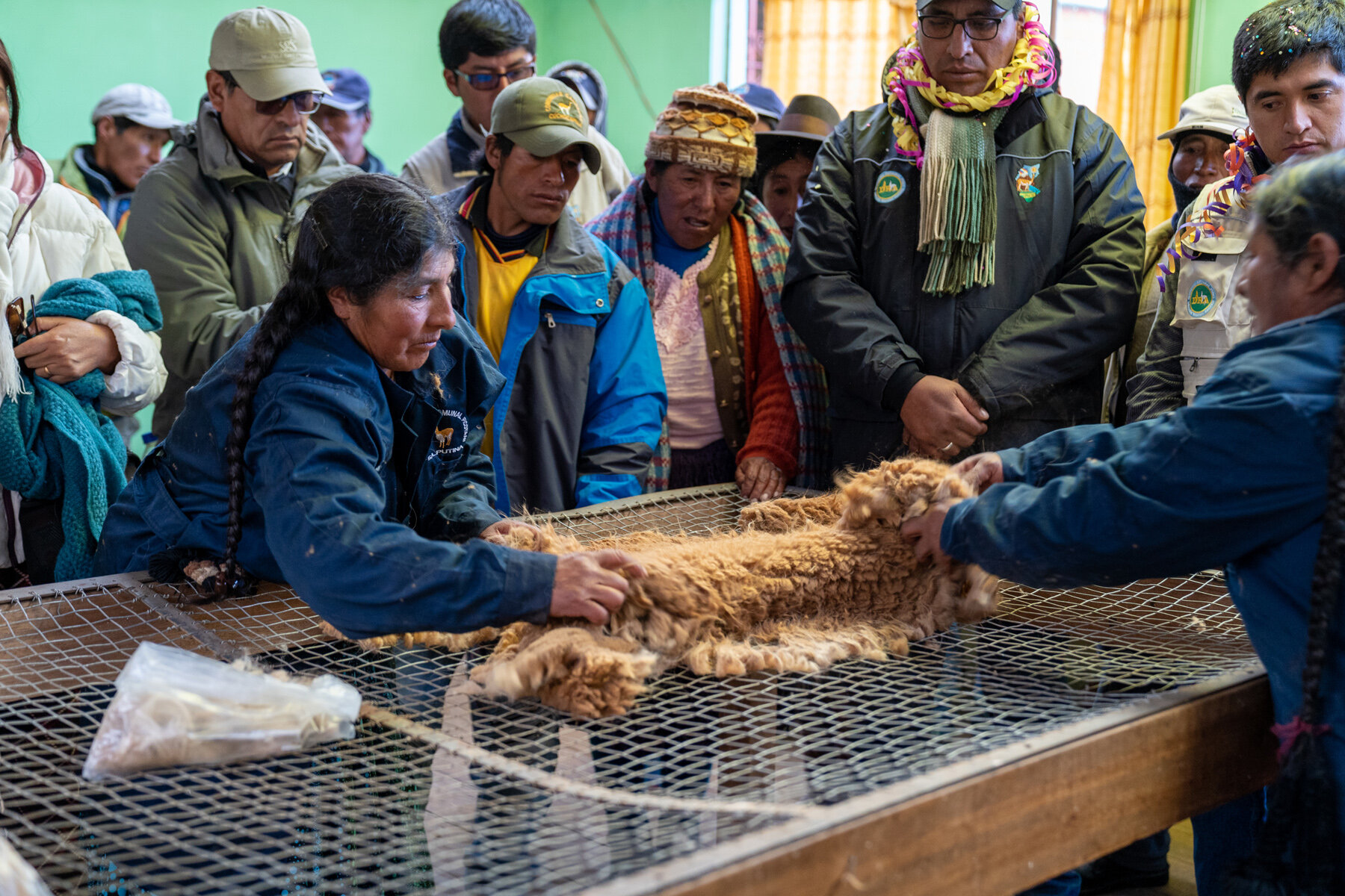 123_Wasim Muklashy Photography_Andes Mountains_Peru_Quechua Benefit_Picotani_Vicuna Chaccu_.jpg