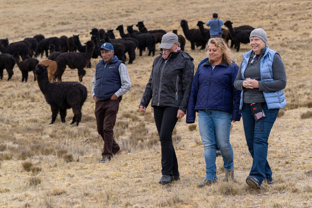 Wasim Muklashy Photography_Andes Mountains_Peru_Quechua Benefit_Picotani_Spar_Macusani_Alpaca_316.jpg