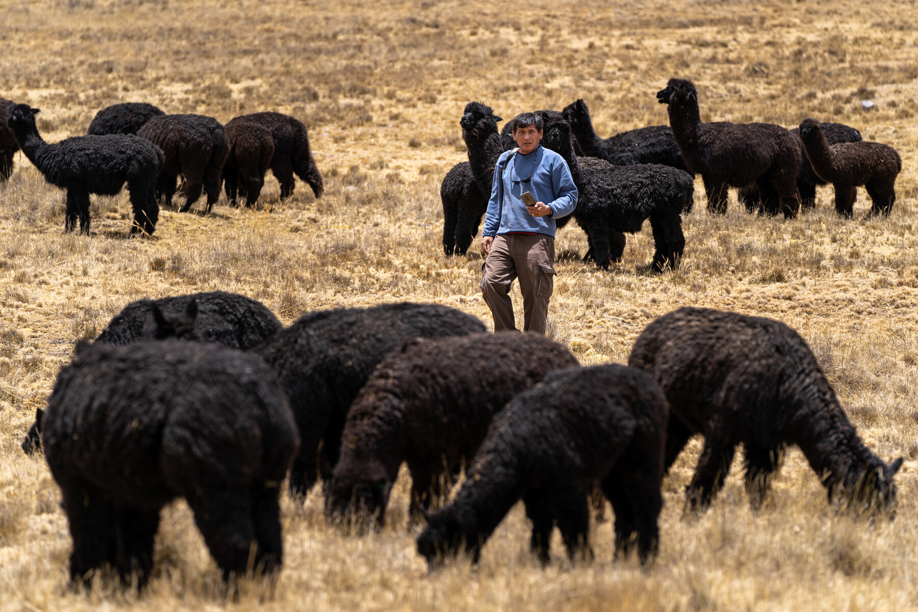 Wasim Muklashy Photography_Andes Mountains_Peru_Quechua Benefit_Picotani_Spar_Macusani_Alpaca_317.jpg