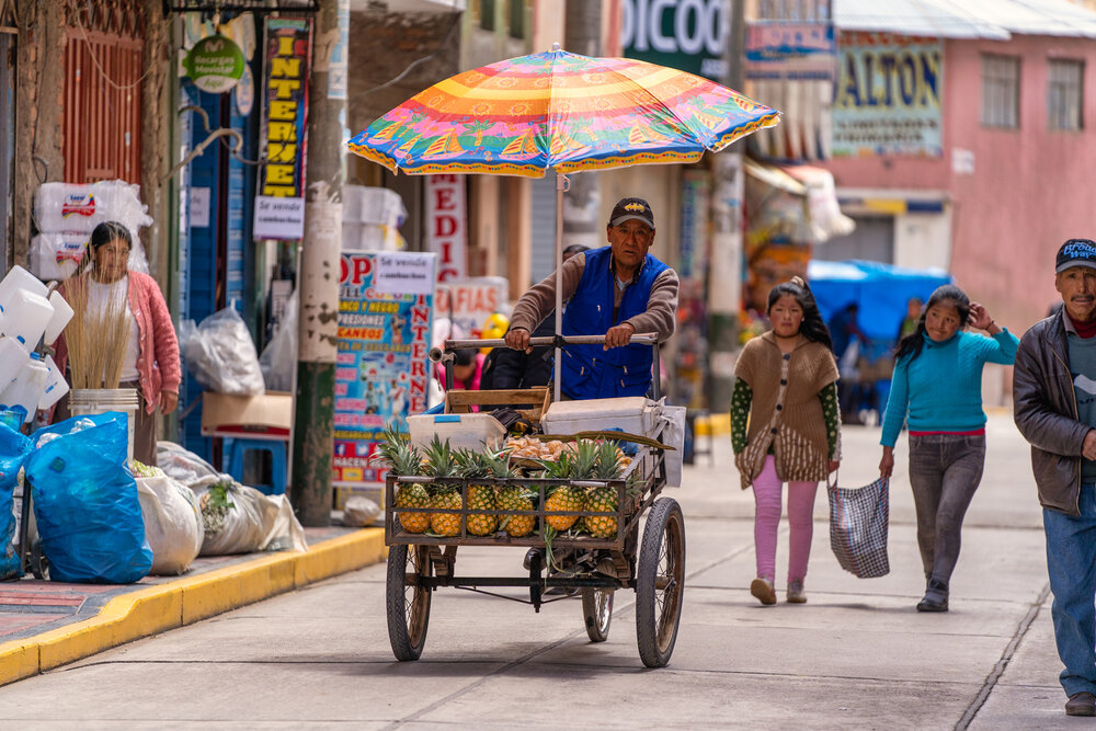 Wasim Muklashy Photography_Andes Mountains_Peru_Quechua Benefit_Picotani_Spar_Macusani_Alpaca_320.jpg