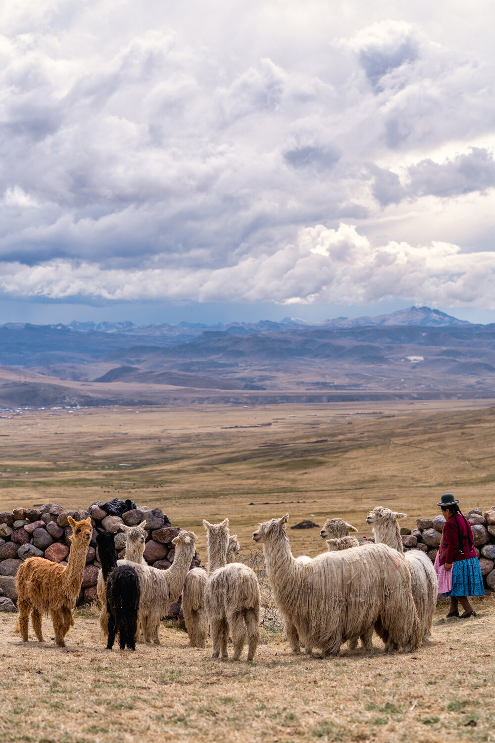 Wasim Muklashy Photography_Andes Mountains_Peru_Quechua Benefit_Picotani_Spar_Macusani_Alpaca_329.jpg