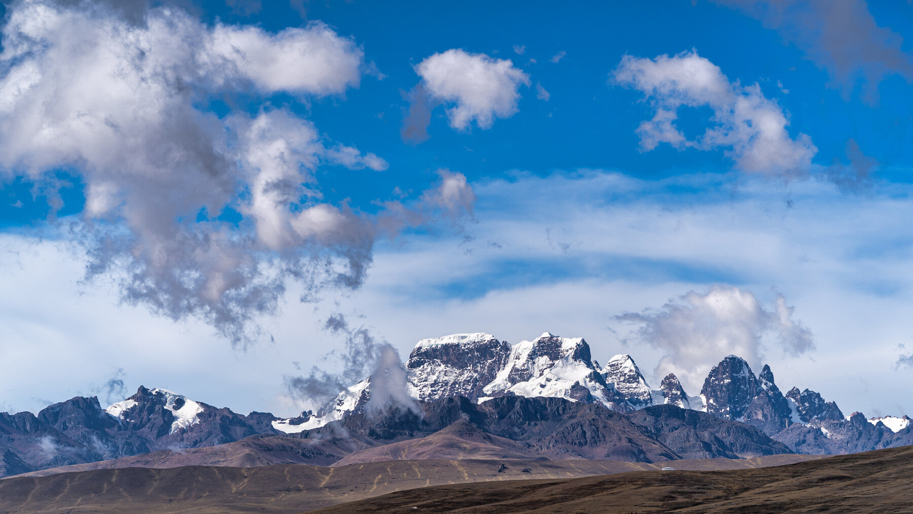 Wasim Muklashy Photography_Andes Mountains_Peru_Quechua Benefit_Picotani_Spar_Macusani_Alpaca_332.jpg