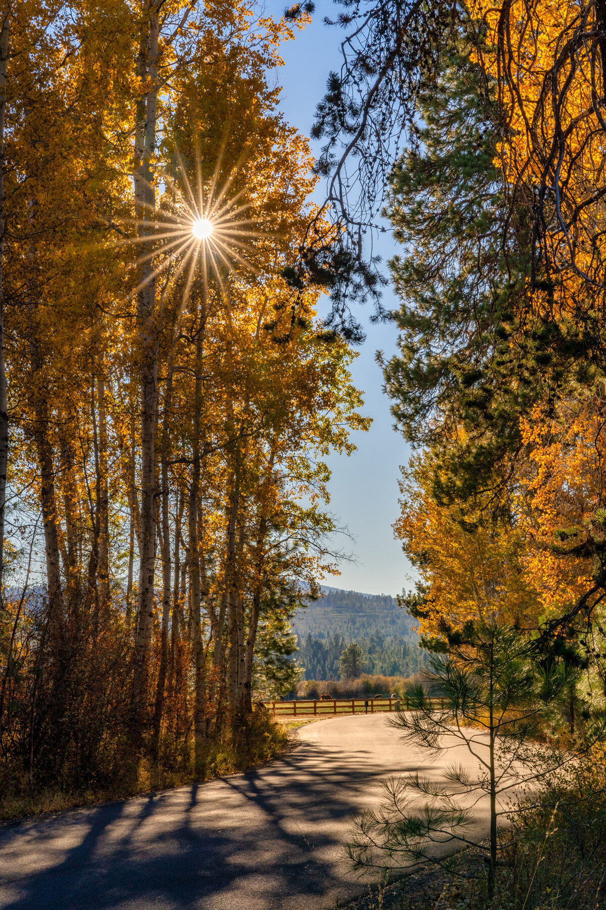 Wasim Muklashy Photography_Black Butte Ranch_Sisters_Bend_Oregon_Fall Color_105.jpg