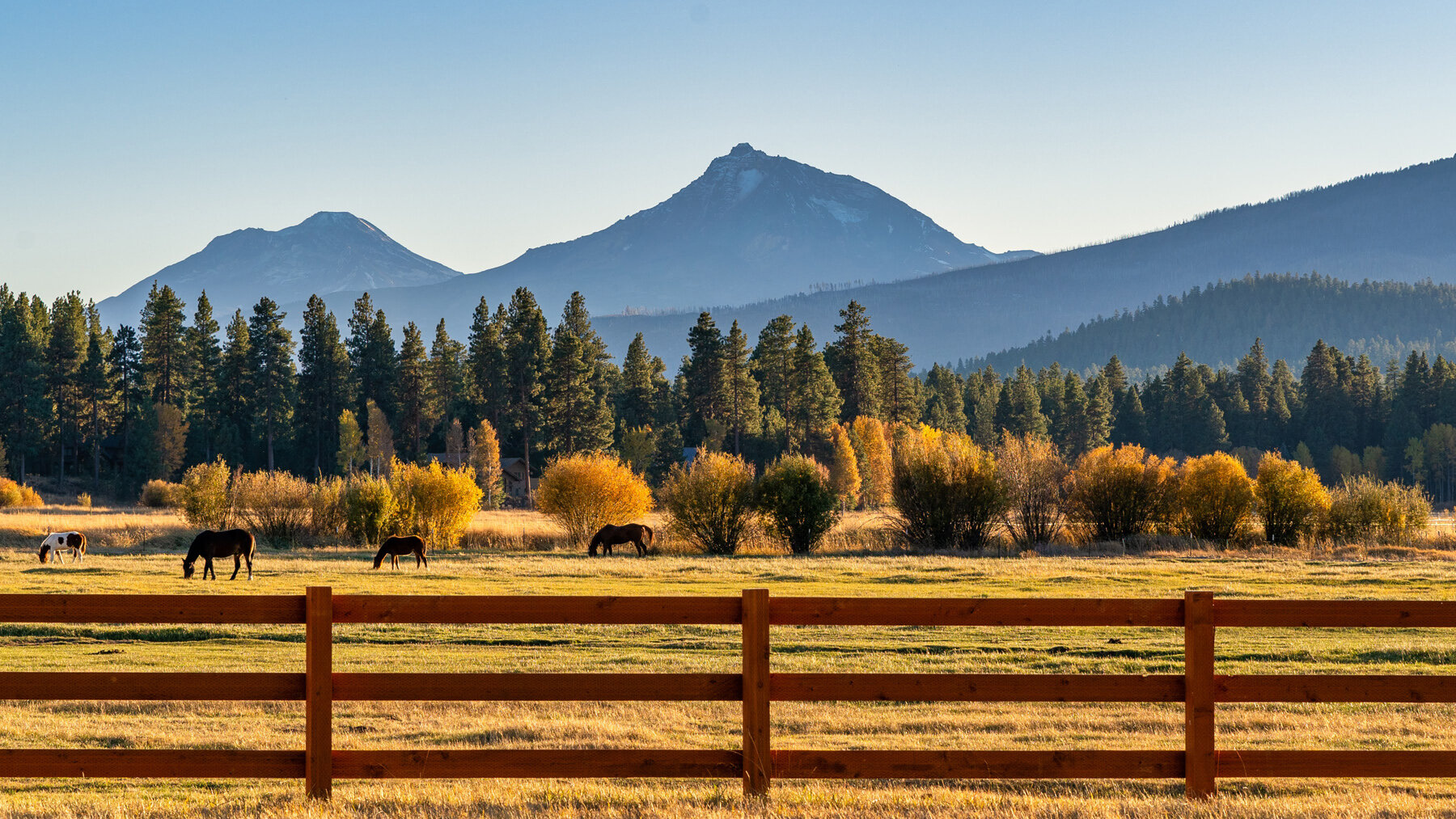 Wasim Muklashy Photography_Black Butte Ranch_Sisters_Bend_Oregon_Fall Color_121.jpg