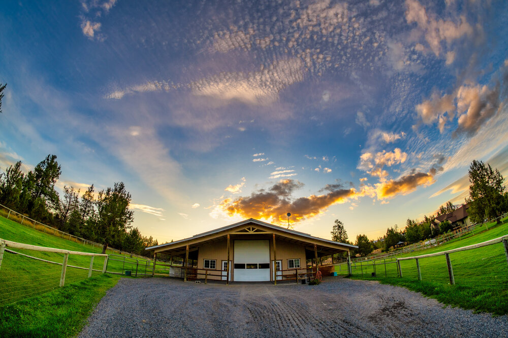 Wasim Muklashy Photography_Flying Dutchman Alpacas_205.jpg