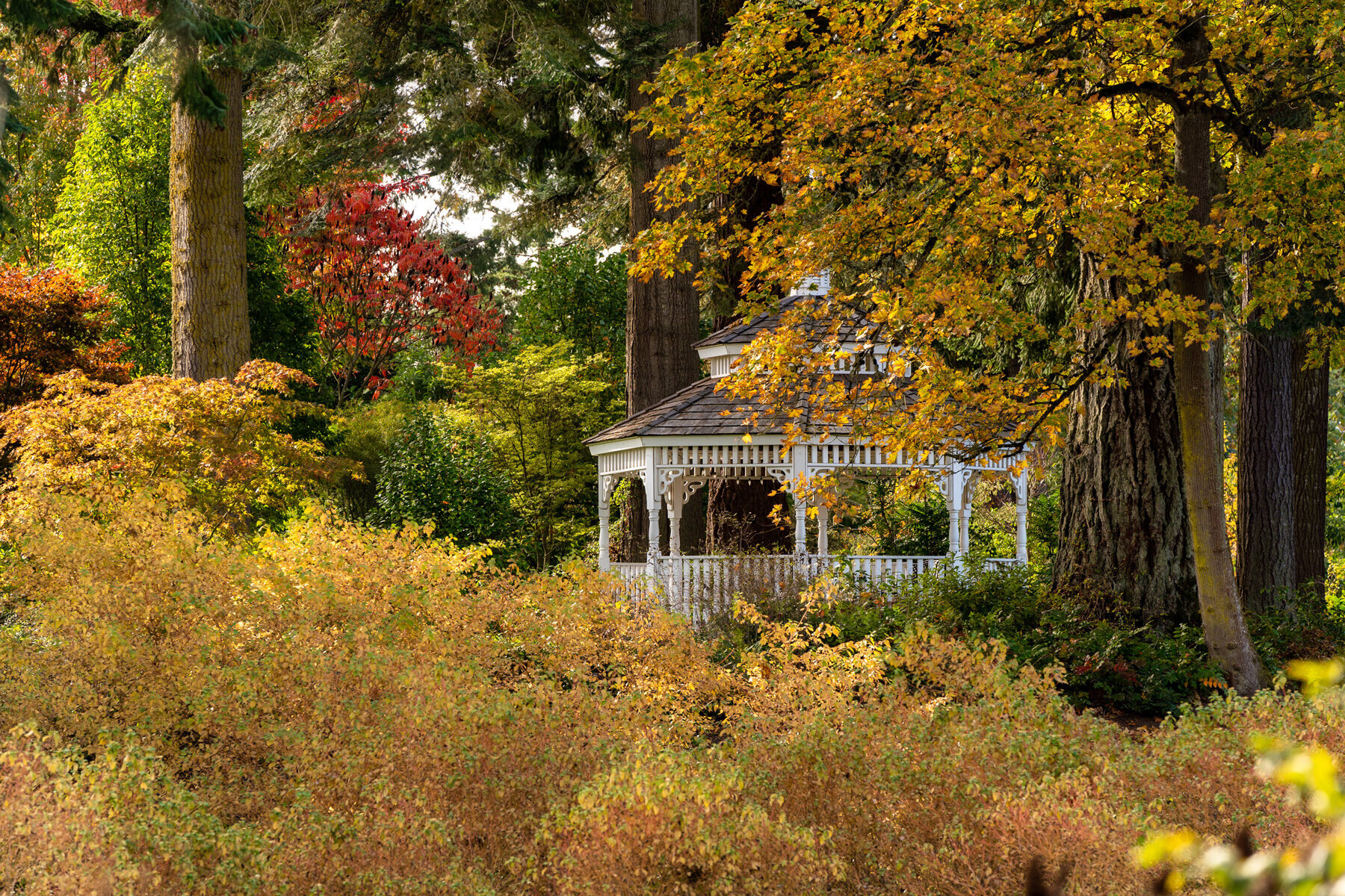 003_Oakwood Gardens_Fall Color Garden_Photography by Wasim Muklashy.jpg