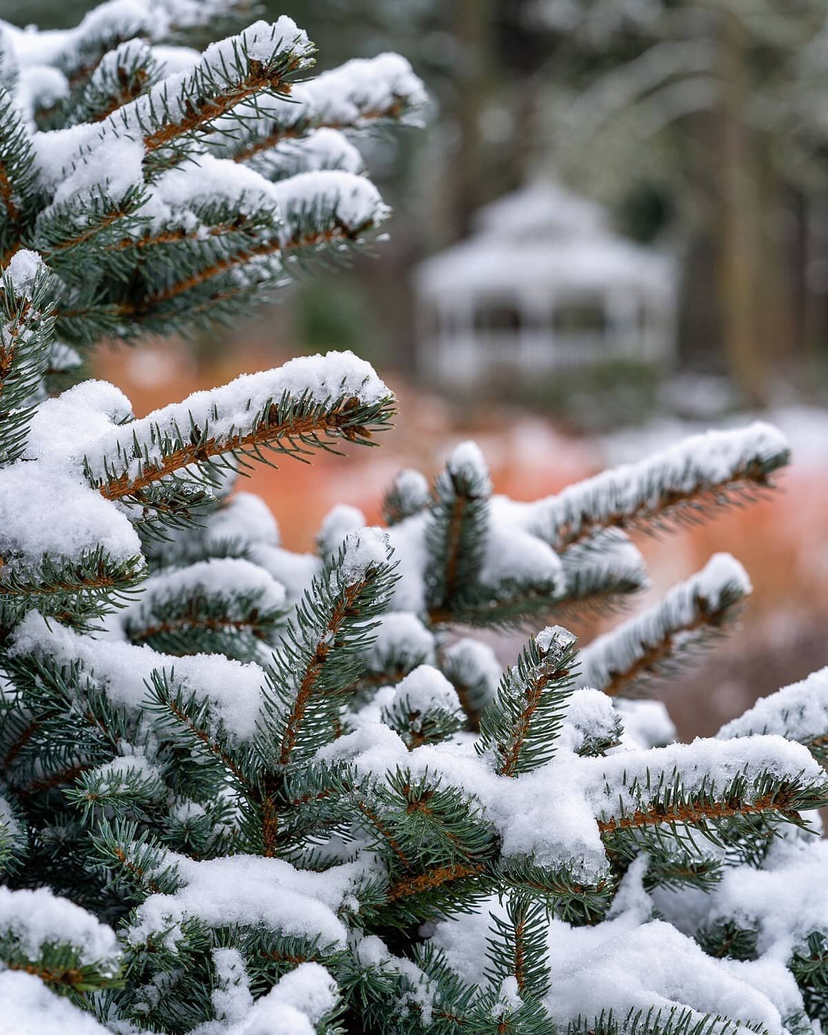 how to pick the right path to follow
when they all lead to the same place...
-
a few more oakwood gardens winter zen moment byWasim.com
-
the portrait set.
-
volume 3.
book 1.
season 3.
chapters 41-49.
while the gettin's good
-
if you'd like to purch