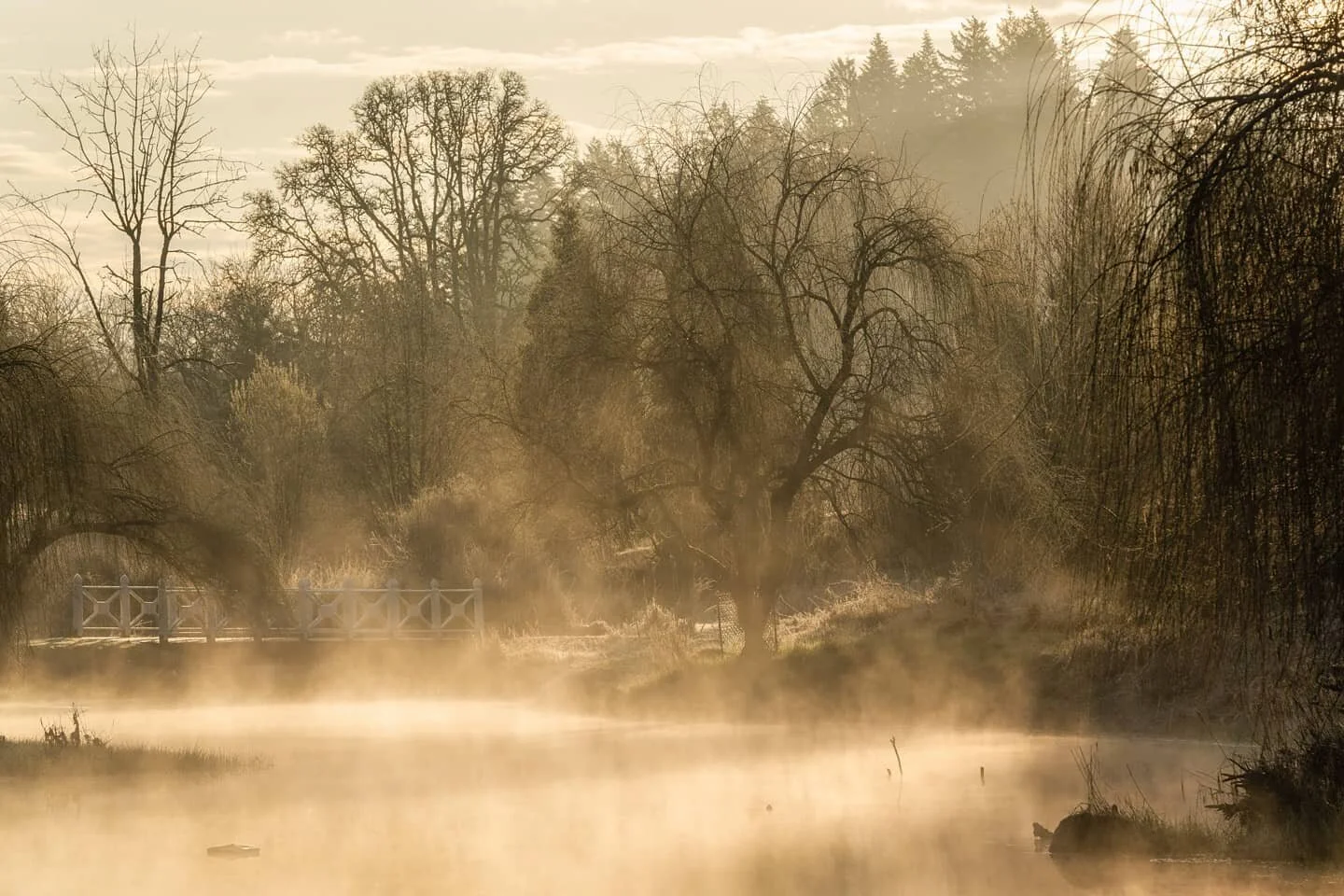 got up for one thing, got sidetracked by another. 
-
an oakwood gardens zen moment byWasim.com
-
volume 3.
book 1.
season 3.
chapter 58.
fade away.
-
if you'd like to purchase any of my prints to bring nature into your home while most of us can't rea