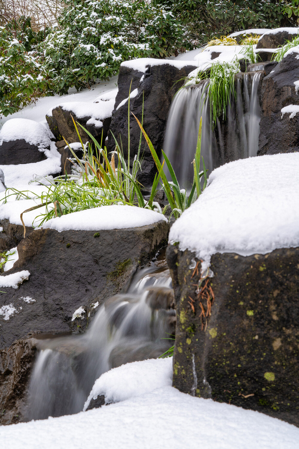 An Oakwood Gardens Winter Photography Shoot