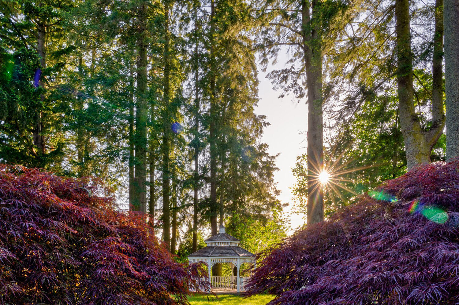 Oakwood Gardens_Hillsboro Oregon_Spring 2020