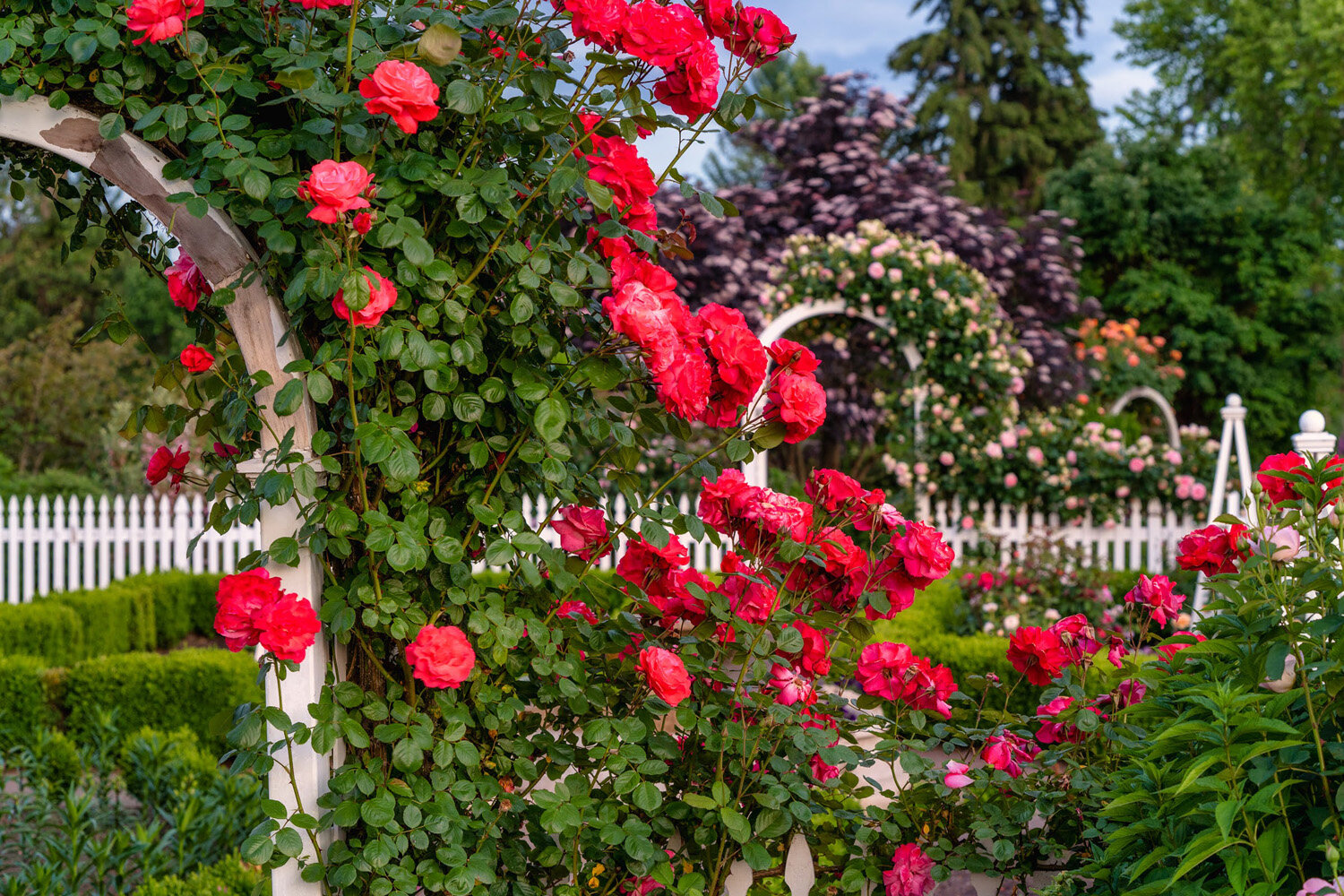 Oakwood Gardens_Hillsboro Oregon_Spring 2020