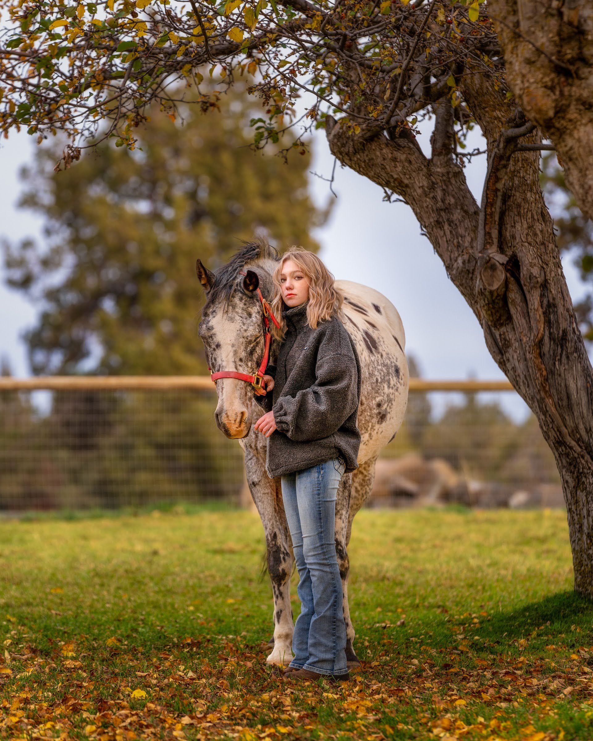 119_Pet Photography_Dogs Horses Fish_Photography by Wasim Muklashy_2400px_web.jpg