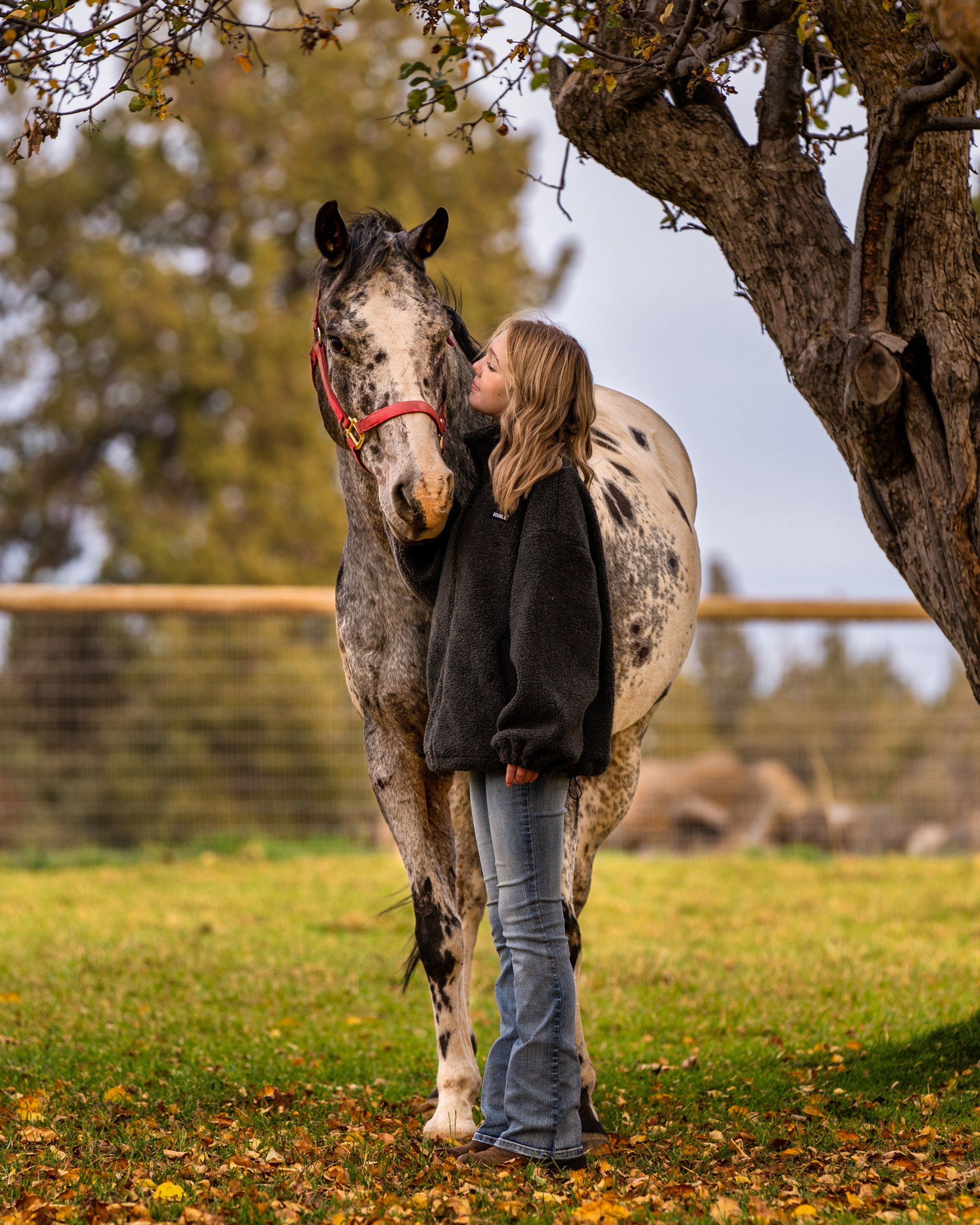 118_Pet Photography_Dogs Horses Fish_Photography by Wasim Muklashy_2400px_web.jpg