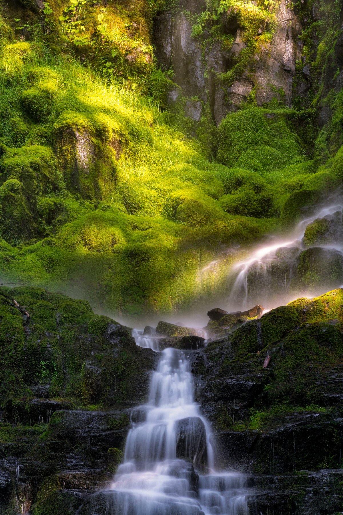 Proxy Falls in the Cascade Mountains in Central Oregon