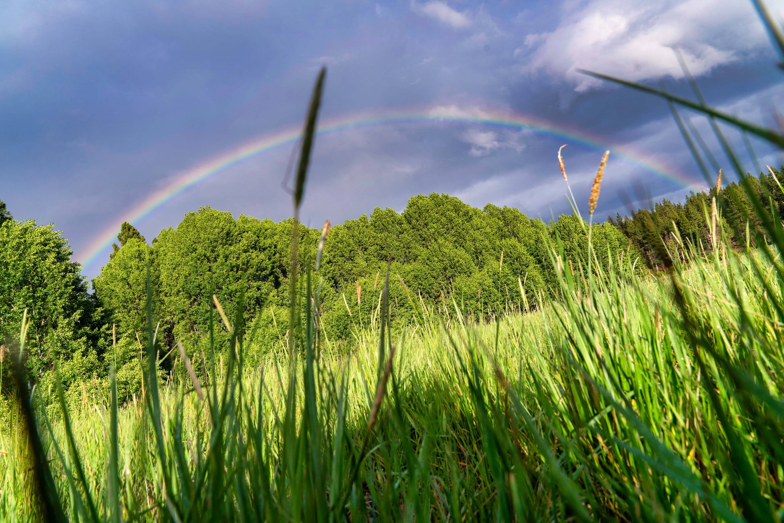 015_Camp Polk Meadow Preserve_Spring 2022_Deschutes Land Trust_Photography by Wasim Muklashy_webres.jpg