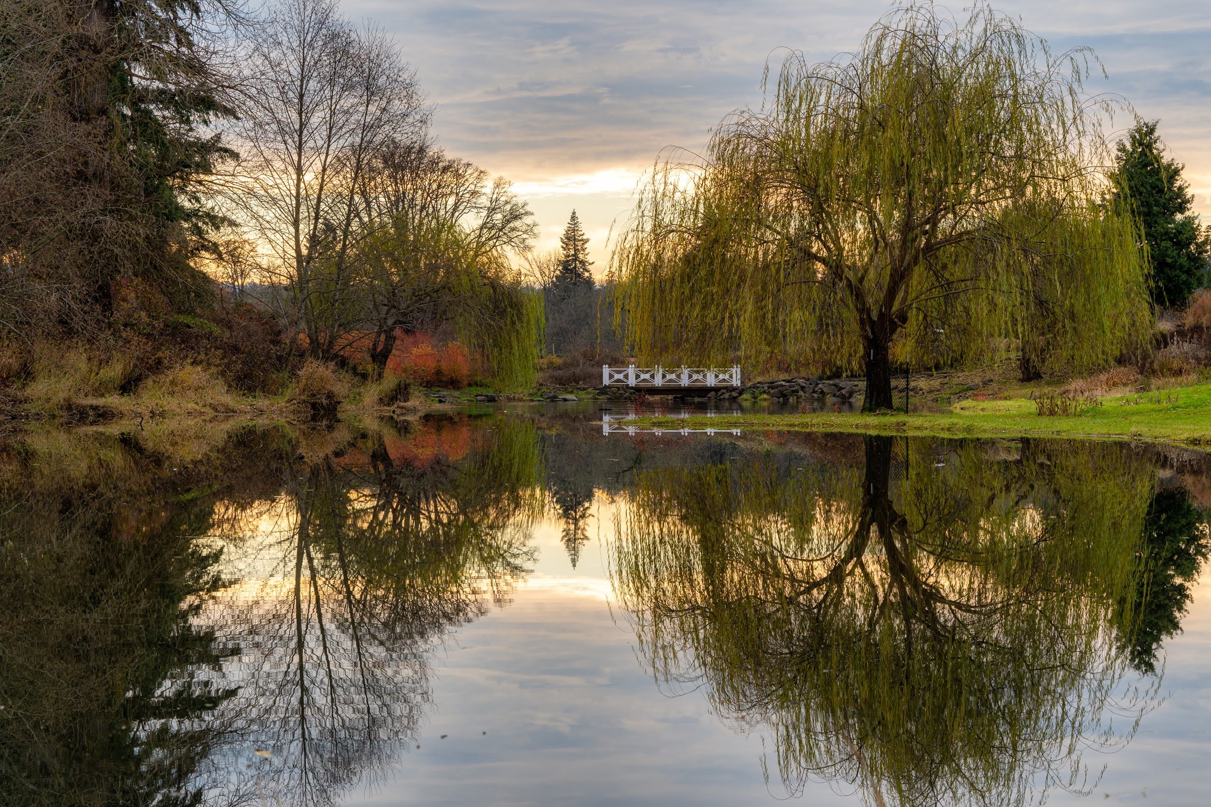 075_Wasim Muklashy Photography_Oakwood Gardens_Hillsboro Oregon_Fall 2020.jpg