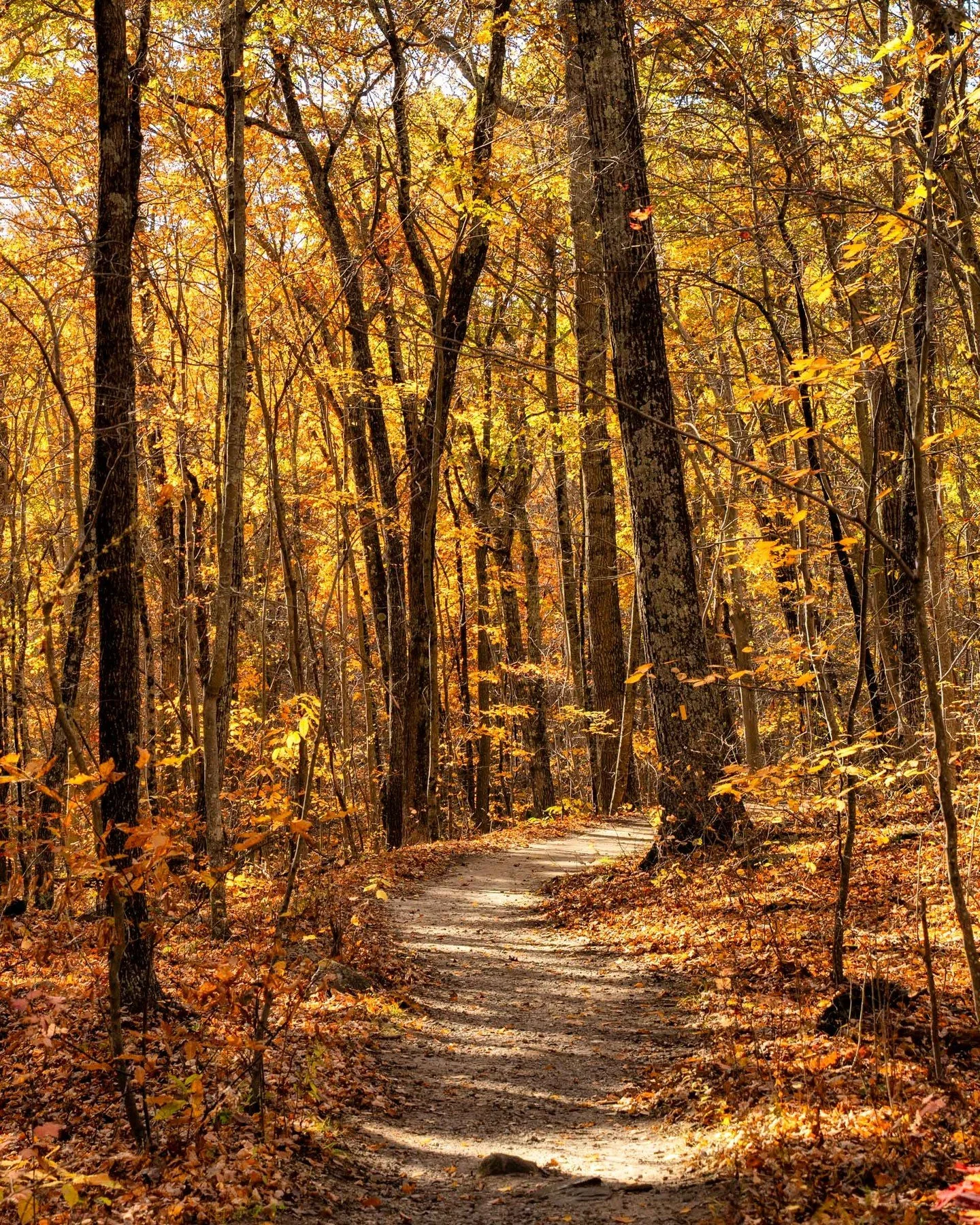 one foot in front of the other...
-
a #newengland #zen moment byWasim.com
-
and if you want more neato nature stuffs, find me on Bluesky, been spending a LOT more time posting photos there. no ads no zuckfuckery and superior control over what and who