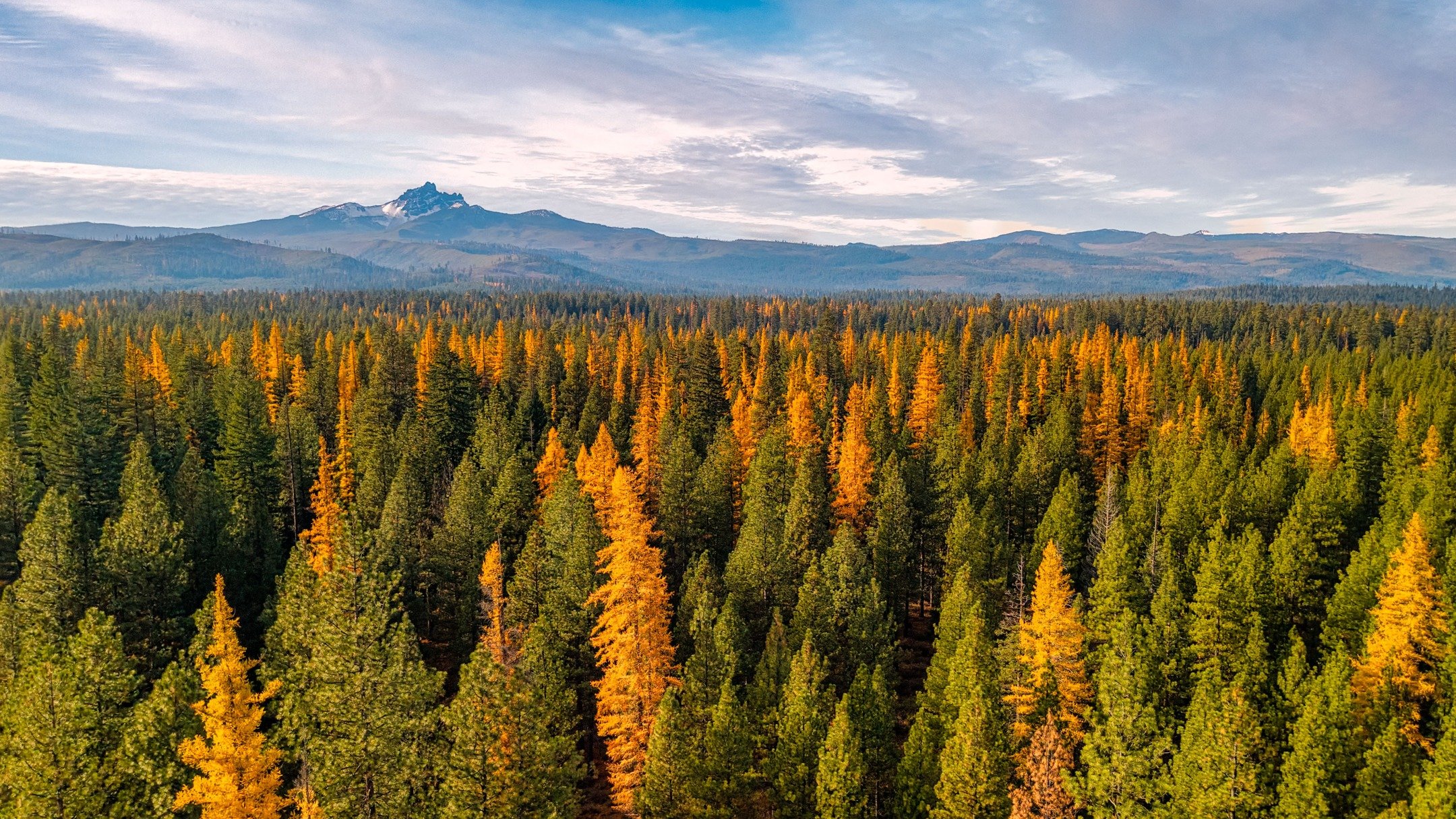 could never have guessed this would be the last day we'd see her. you will forever be so missed MIA! thank you for 15 purrfect years of forced adventures and putting up with my shit. you deserve to finally rest.
-
a #pnw #zen moment byWasim.com
-
and