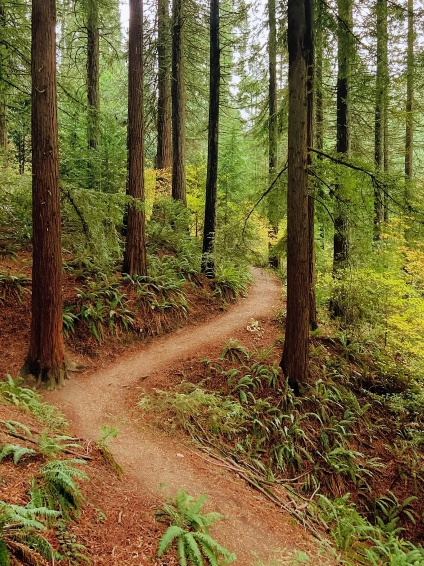 t'was a twisted path.
but it led us home.
and it was perfect.
perfect.
-
an elopement day #zen moment byWasim.com 
-
until there's a ceasefire, i'll split all profits of sold prints between @doctorswithoutborders &amp; @thepcrf 🕊️🇵🇸🕊️🇮🇱🕊️
-
#a