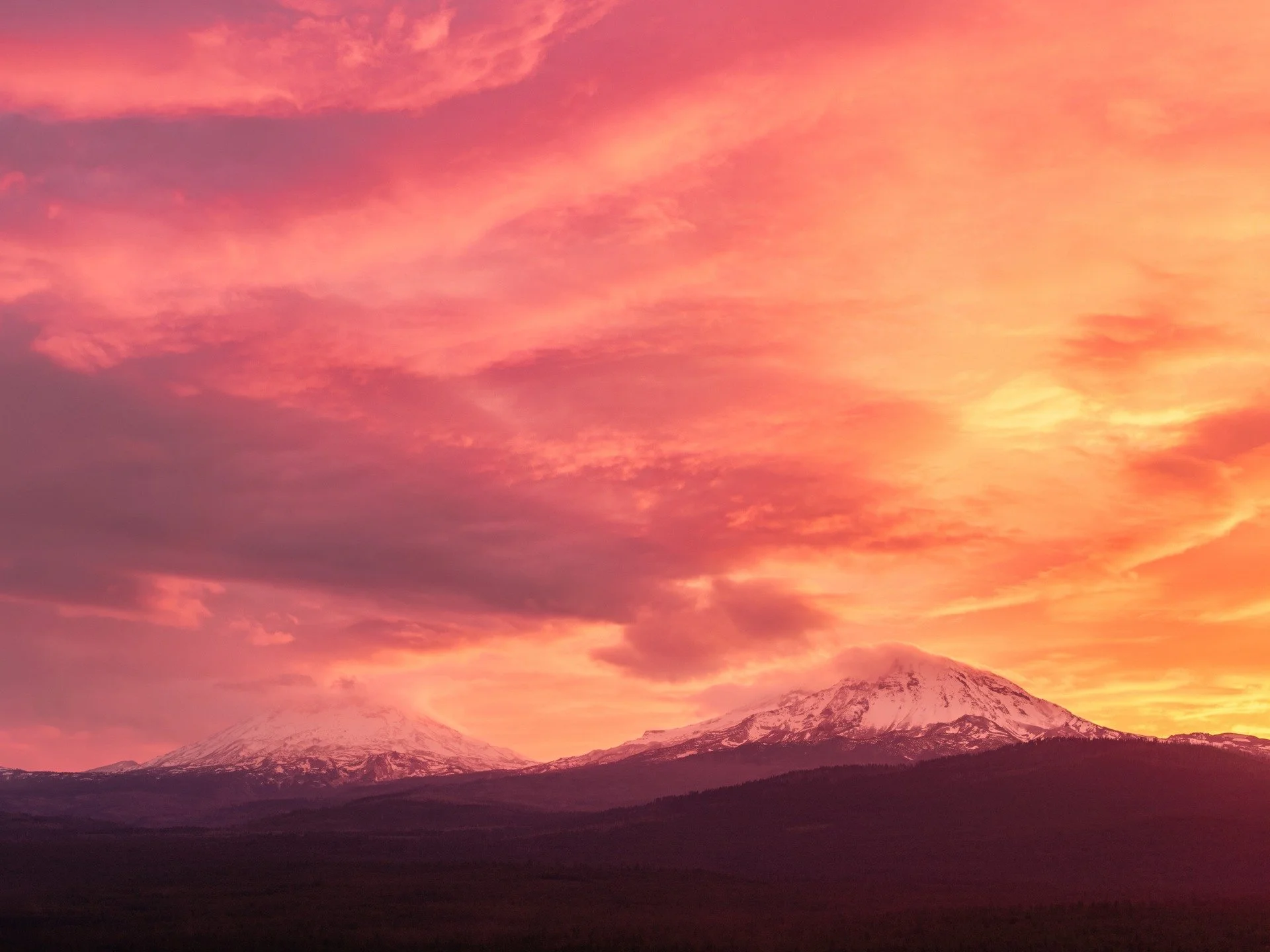 things that happen here. 
-
a #pnw zen moment byWasim.com
-
and if you want more neato nature stuffs, find me on Bluesky, been spending a LOT more time posting photos there. no ads no zuckfuckery and superior control over what and who does (and doesn