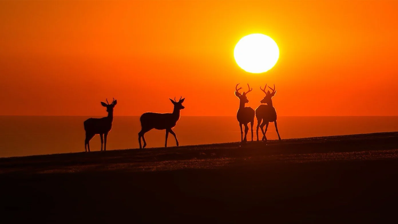 oh right...that happened...
-
a #pch throwback #zen moment byWasim.com
-
and if you want more neato nature stuffs, find me on Bluesky, been spending a LOT more time posting photos there. My handle is @PhotographyByWasim.com
-
#travel #fall #autumn #f