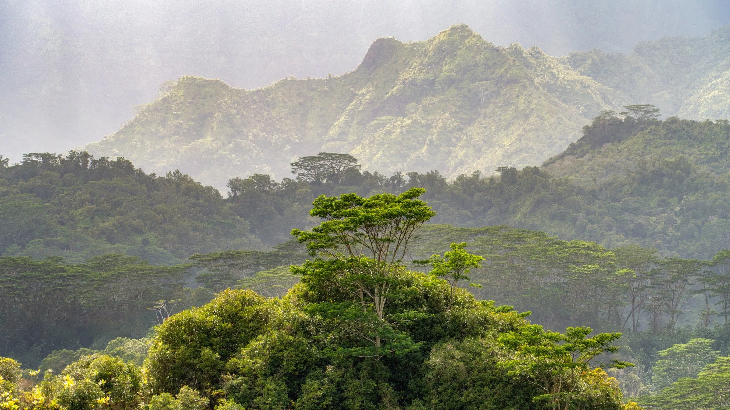 163_Kauai Hawaii_Spring 2025_Photography by Wasim Muklashy_2400px-webres.jpg