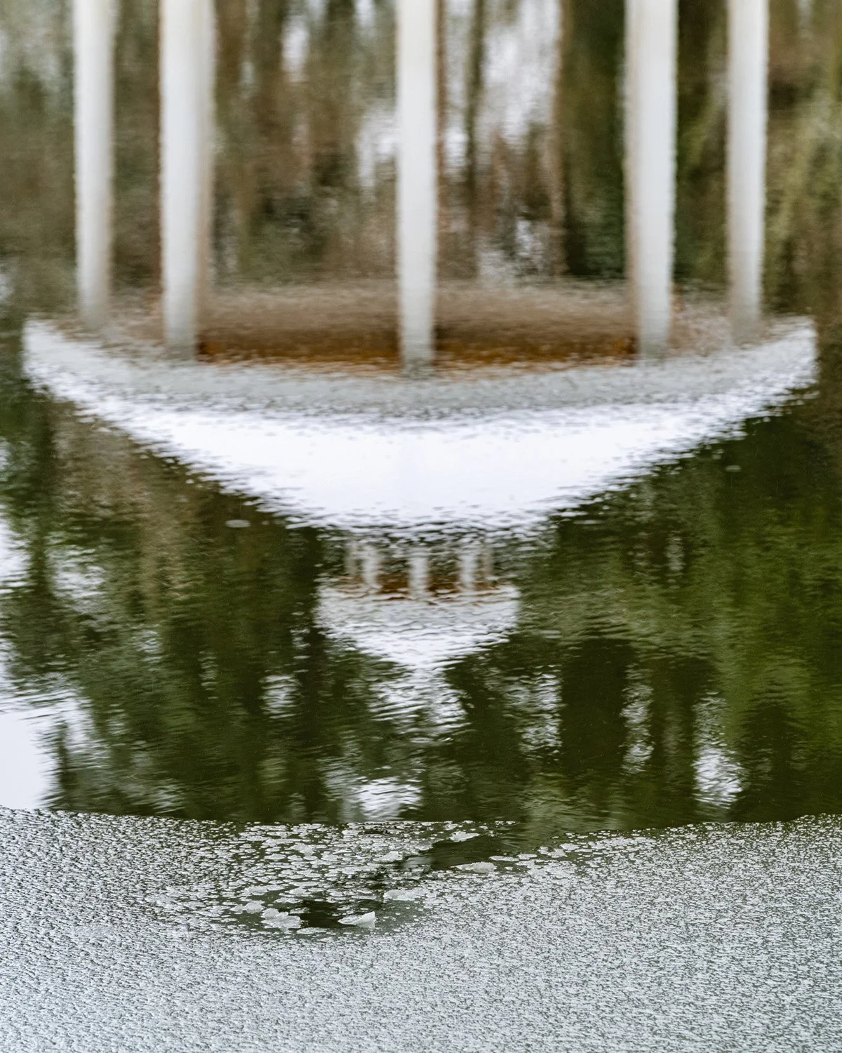 007_Garden Photography by Wasim Muklashy.jpg