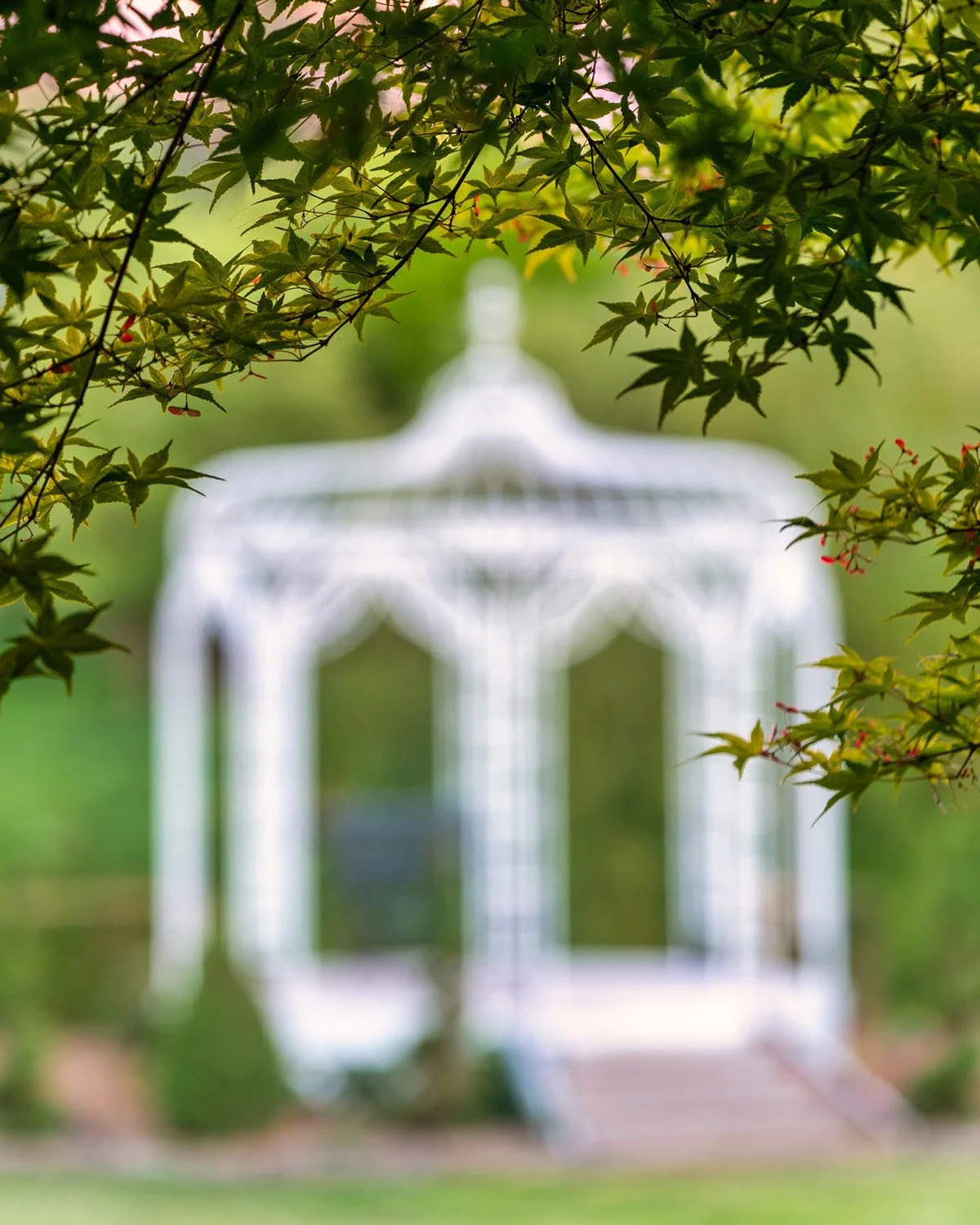 022_Garden Photography by Wasim Muklashy.jpg