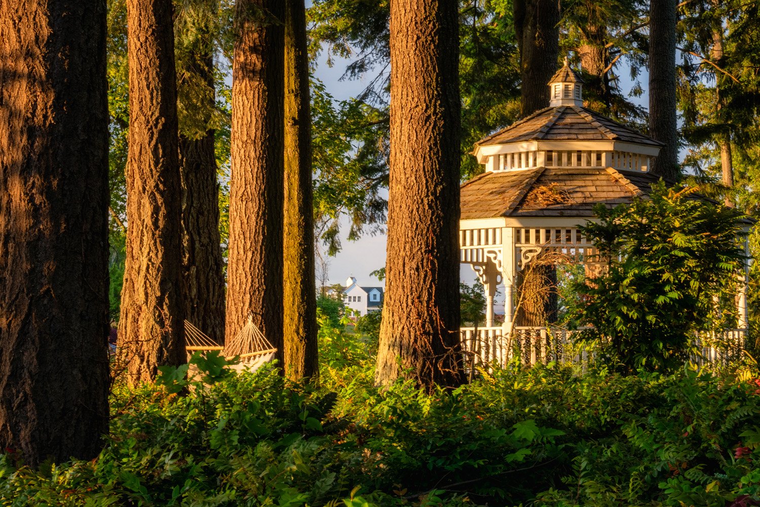 026_Garden Photography by Wasim Muklashy.jpg