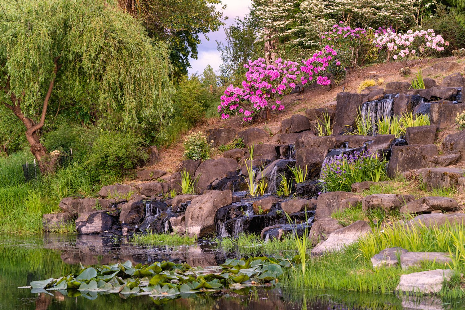 036_Garden Photography by Wasim Muklashy.jpg