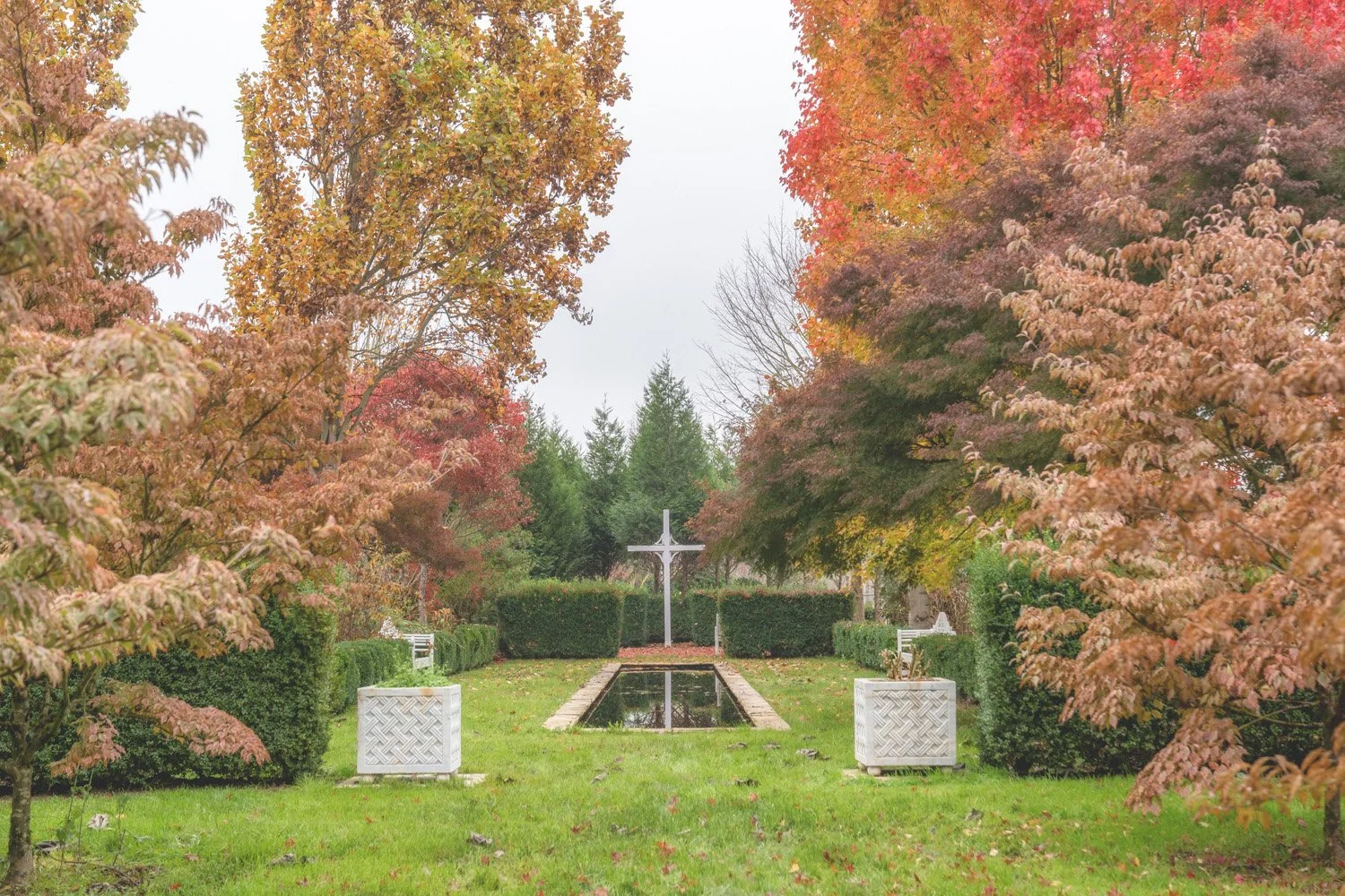037_Garden Photography by Wasim Muklashy.jpg