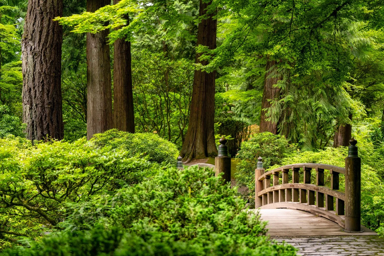 045_Garden Photography by Wasim Muklashy.jpg