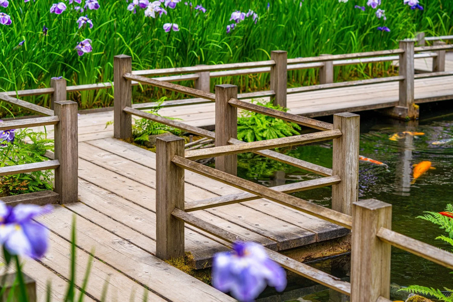 052_Garden Photography by Wasim Muklashy.jpg